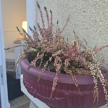 דירה Bivar Urban Retreat *